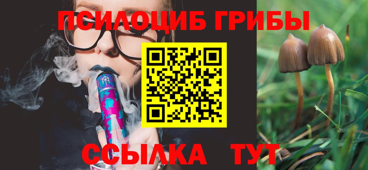 Галлюциногенные грибы Psilocybe  Вход с VPN  где продают наркотики  Дмитров 